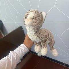 Hračka, jak nahlášeno WestCord Hotel Eindhoven pomocí iLost