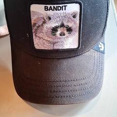 Baseball cap, as reported by Familiepark Drievliet using iLost