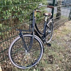 Zwarte Cortinafiets incl sleutel in slot, segons s'ha informat a iLost