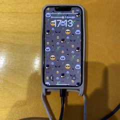 Iphone an iLost gemeldet