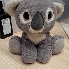 Peluix, segons ha informat IKEA Montpellier mitjançant iLost