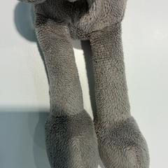 Peluche Grijze, ha sido reportado por Gemeente Waalwijk con iLost