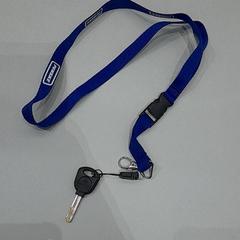 Keys, as reported by Van der Valk Hotel Schiphol using iLost