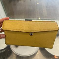 Yellow "Guard" wallet, iLost-i jakinarazi zaion moduan