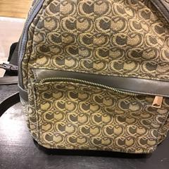 Backpack, as reported by Qbuzz U-OV using iLost