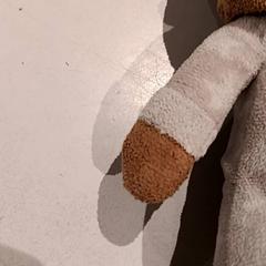 Kuscheltier, gemeldet von De Efteling über iLost