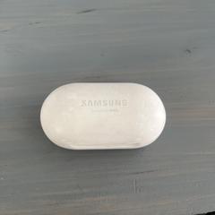 Samsung oortjes case an iLost gemeldet