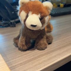 Xoguete de peluche, segundo informou Van der Valk Hotel Haarlem usando iLost