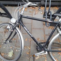 Pánské kolo Giant Zwart/grijs, jak nahlášeno Fietsendepot Weert pomocí iLost