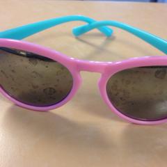 Zonnebril, as reported by Dolfinarium using iLost