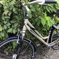 Damesfiets, jak zgłoszono do iLost