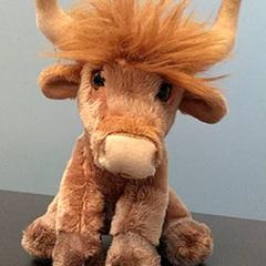 Plyšová hračka bruin, ako bolo nahlásené IKEA Gent pomocou iLost