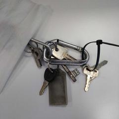 Sleutelbos, as reported by Syntus Provincie Utrecht using iLost