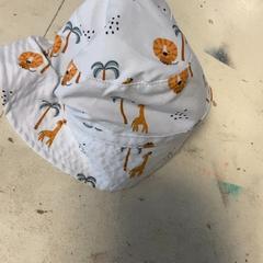 Baby hat, as reported by Artis using iLost