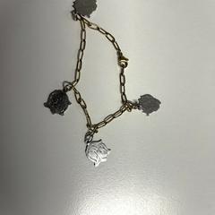Armbandje, segons s'ha informat a iLost