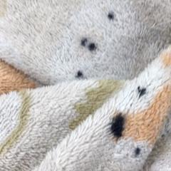 Bathrobe, as reported by ibis Schiphol Amsterdam Airport using iLost