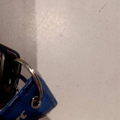 Car key, as reported by De Efteling using iLost