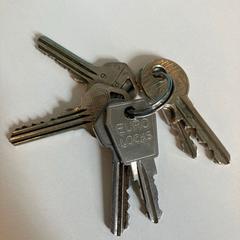 鍵 がiLostで Gemeente Rijswijk によって報告されました