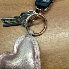 Key case with keys, as reported by IKEA Paris Nord Roissy using iLost