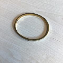Armbånd, som rapportert av Gemeente Nijmegen ved bruk av iLost