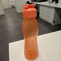 بيدون Oranje، كما تم الإبلاغ عنه بواسطة Avonturenpark Hellendoorn عبر iLost