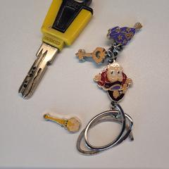 sleutel met sleutelhanger がiLostに報告されました