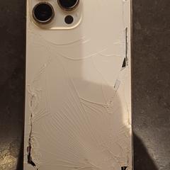 IPhone, as reported to iLost