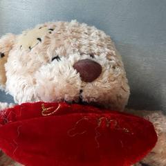 Xoguete de peluche, segundo informou Arriva Friesland / Groningen usando iLost
