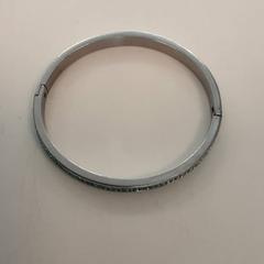 Pulseira, como reportado por Diergaarde Blijdorp utilizando o iLost