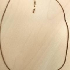 Collier Goudkleurig, a été signalé par Arriva Den Bosch utilisant iLost