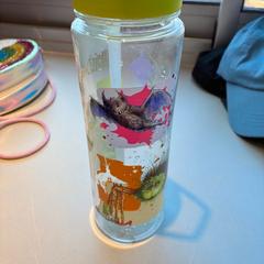 Bottle, as reported by Madurodam using iLost