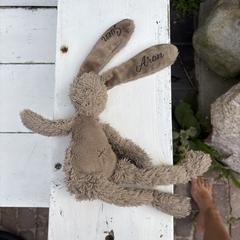 Knuffelkonijn, jak bylo nahlášeno na iLost