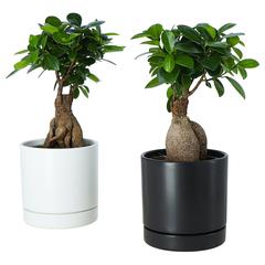 イケア商品 がiLostで IKEA Valencia によって報告されました