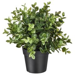 IKEA product, as reported by IKEA Alcorcón using iLost