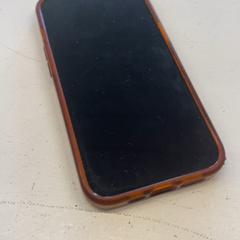 Iphone がiLostで Dominator によって報告されました