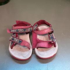 Sandal Kinderschoen roze, som rapportert av Diergaarde Blijdorp ved bruk av iLost