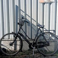 자전거 Gazelle Paars, iLost를 사용하여 Fietsdepot Hasselt에 보고됨