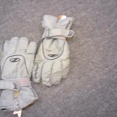 Gloves, as reported by SnowWorld Landgraaf using iLost