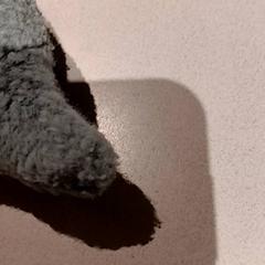 Peluche, como reportado por De Efteling utilizando o iLost