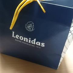 Sack - Draagtas Leonidas, gemeldet von Regio Antwerpen - Brussel über iLost