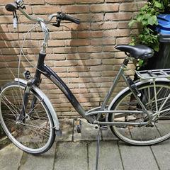 Fiets, segundo informou a iLost