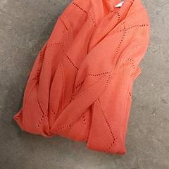 Clothing - Gilet Roze, as reported by Regio Oost-Vlaanderen using iLost