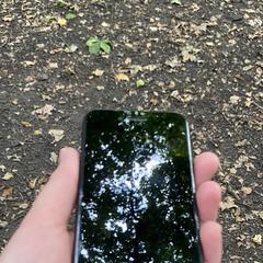 iPhone, as reported to iLost