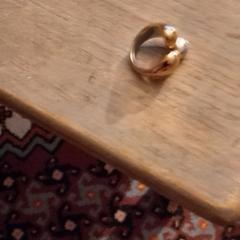 Ring, som rapportert til iLost
