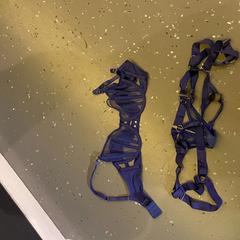 Lingerie, as reported by Room Mate Bruno using iLost