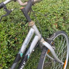 Bicicleta damesfiets grijs/wit, segundo informou Gemeente Zonhoven usando iLost