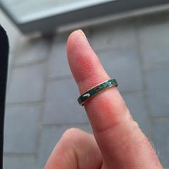 Groene ring met figuurtjes + blauwe binnenkant, segons s'ha informat a iLost