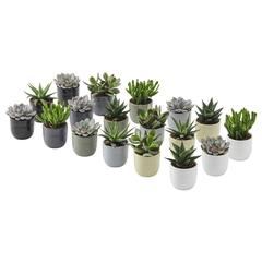 IKEA product, as reported by IKEA Toulon using iLost