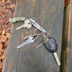 Sleutelbos met autosleutel mini en huissleutels, ha sido reportado a iLost