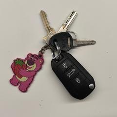 Opel autosleutel met nog  3 andere sleutels がiLostで Stad Hasselt によって報告されました